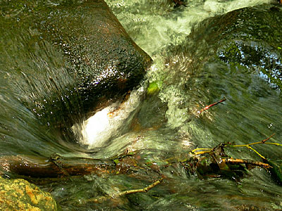 Picture of water on rocks in a stream